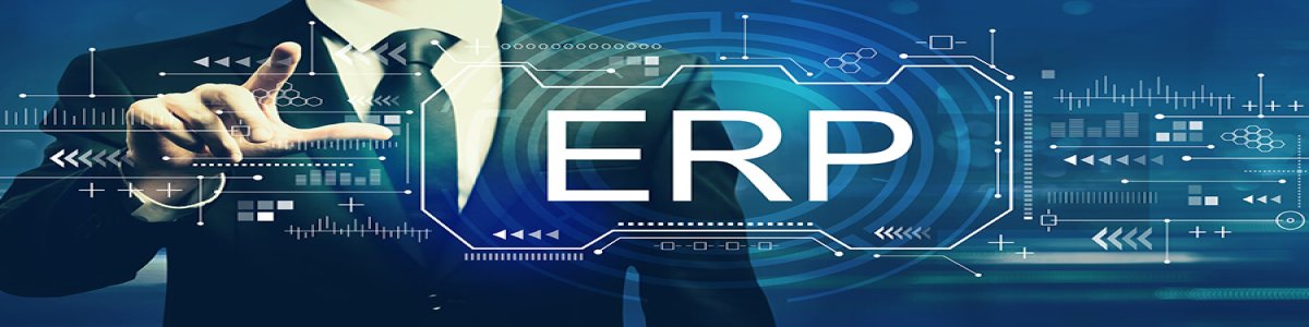 Custom ERP Implementation for Manufacturing Company